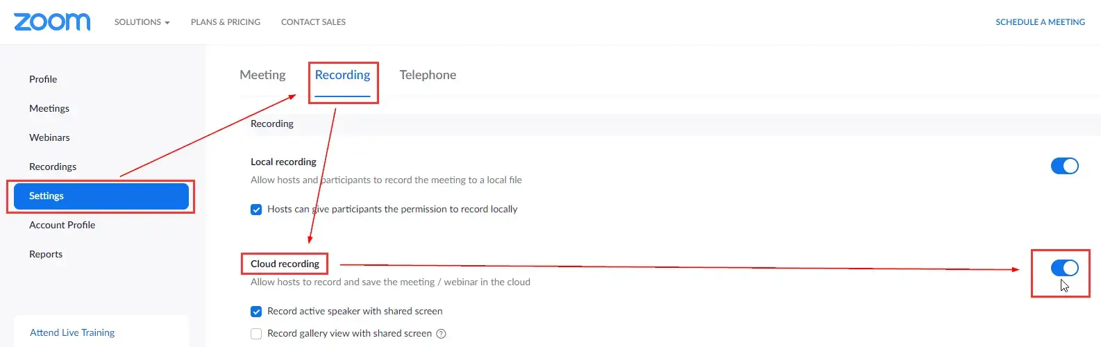 How to set up Zoom's built-in transcription